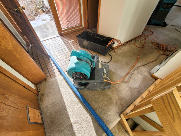 Best 24/7 water damage repair  in Redding, CA