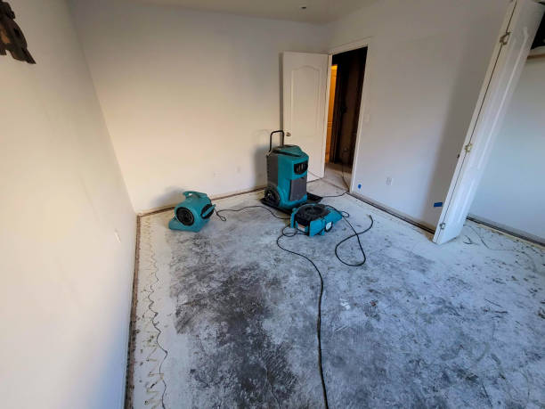 Best Commercial water damage restoration  in Redding, CA